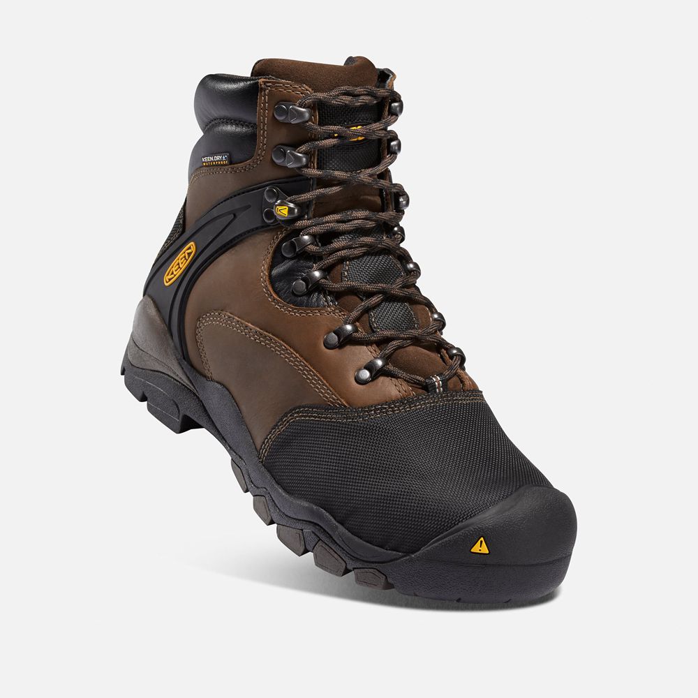 Keen Laarzen Heren Bruin/Zwart - Louisville 6\" Met (Steel Toe) - 23419-BAFS